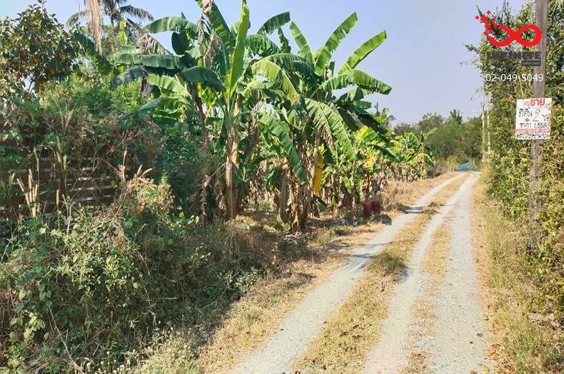 - ขายที่ดิน 2 ไร่ แปลงสวย 8 ตรว. ถนนจารุวร อำเภอพนัสนิคม ชลบุรี