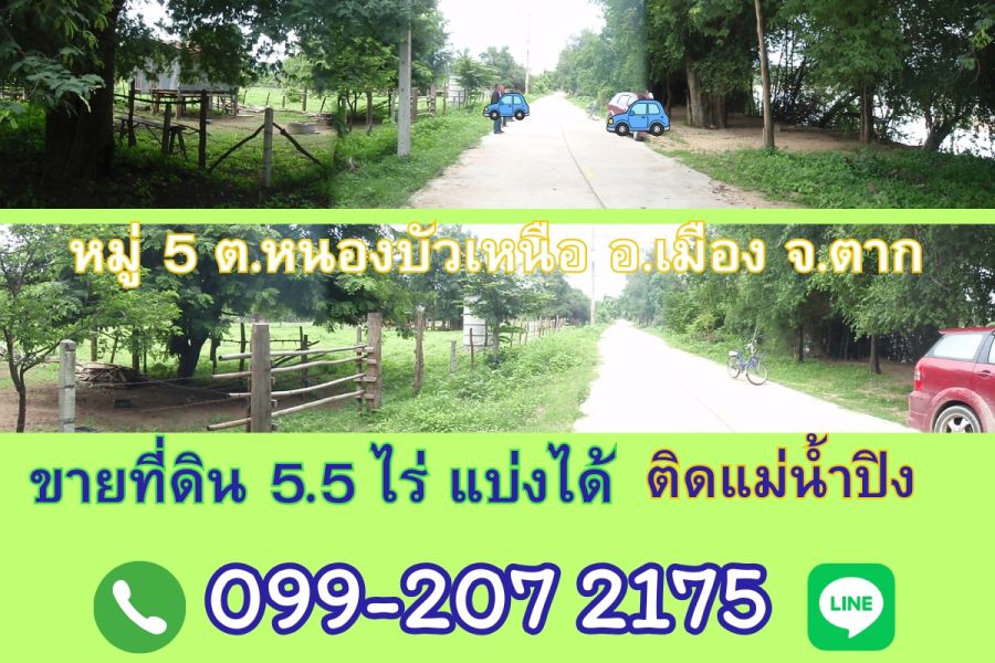 - ขายที่ดิน 5.5ไร่ แบ่งได้ ติดแม่น้ำปิง ตำบลหนองบัวเหนือ หมู่5 อ.เมือง จ.ตาก ใกล้สะพานข้ามแม่น้ำปิงแห่งใหม่ สะพานบ้านวังม่วง