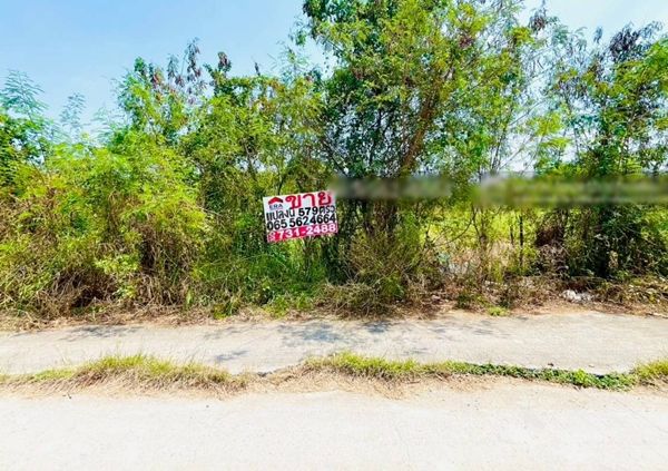 - ขายที่ดิน ถนนทางหลวงชนบทนนทบุรี3017 ขุนศรี ไทรน้อย นนทบุรี พื้นที่ 579 ตรว. แปลงสี่เหลี่ยม ใกล้อบต.ขุนศรี