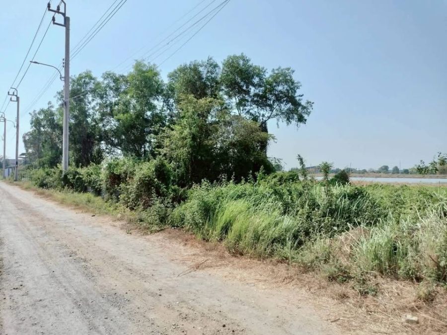 - ขายด่วนที่ดิน 50 ตารางวา ติดถนนสาธารณะ มีไฟฟ้า+น้ำประปา คลองสิบสอง เขตหนองจอก กรุงเทพมหานคร