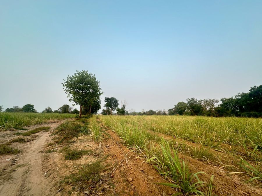 - ขายที่ดินติด ถนนมิตรภาพขอนแก่น จังหวัดขอนแก่น