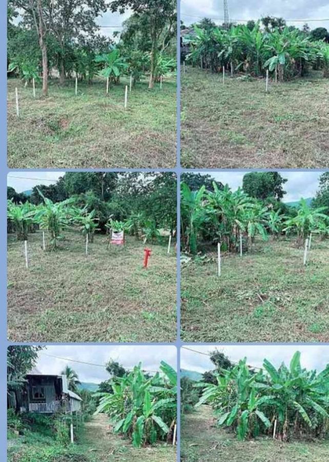 - ขายที่ดิน จ.เลย 8-2-29 ไร่ ติดถนนหลัก เส้น 201 เลย-เชียงคาน ต.ศรีสองรักษ์ อ.เมือง จ.เลย