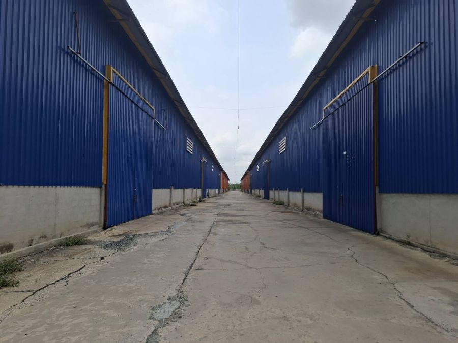 - โกดังให้เช่า โรงงานให้เช่า คลังสินค้าให้เช่า พื้นที่สีชมพูขนาดพื้นที่ 1,500-7000 ตารางเมตร ถนนรังสิต - นครนายก คลอง 12 บึงน้ำรักษ์ ธัญบุรี ปทุมธานี