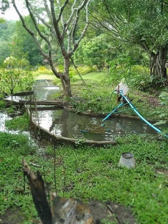 - ขายรีสอทร์ติดน้ำธารน้ำบ้านปงหางดงห่างถนนหลัก 500เมตร