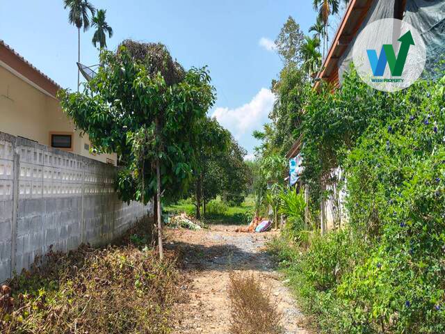 - ขายที่ดิน ทางหลวงชนบทบ้านลานช้าง-บ้านน้ำตกไพรวัลย์