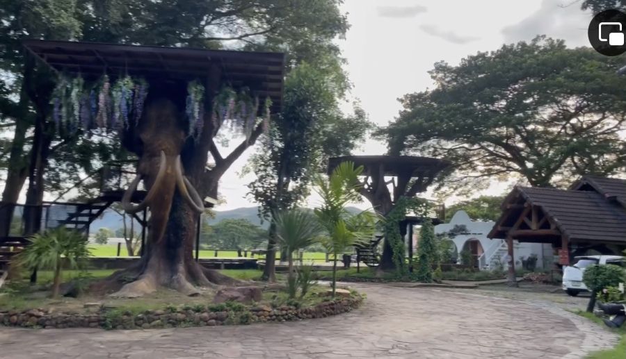 - ขายบูติกโฮเทล เรสเทอรองร้านอาหารหรือปรับบ้านสวยส่วนตัว Special sale Hotel Chiangmai