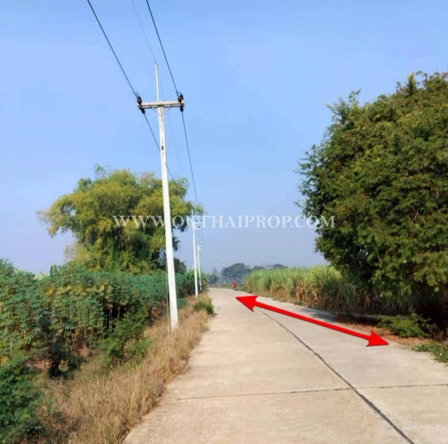 - ที่ดินสวย 2 แปลง ใกล้โรงพยาบาลบึงสามัคคี อ.บึงสามัคคี จ.กำแพงเพชร