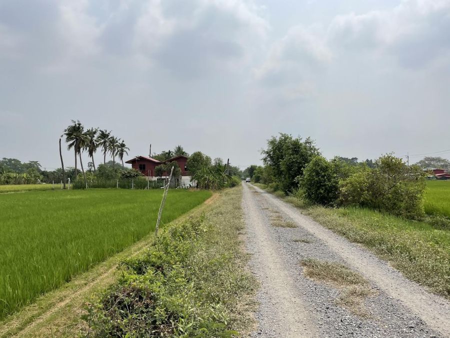 - ขายที่ดินเปล่า ทำเลดี อำเภอคลองหลวง ปทุมธานี