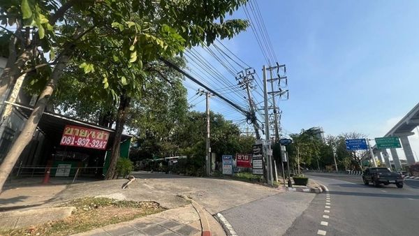 - ขายถูกที่ดิน203 ตรว.ซอยศรีนครินทร์15(รินลดา)ใกล้รถไฟฟ้าสายสีเหลืองถนนซอยกว้าง8เมตร ที่ดินถมแล้ว