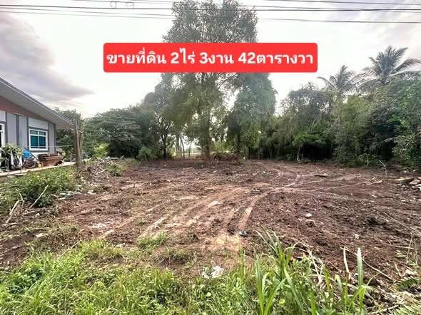 - ขายที่ดินติดแม่น้ำเจ้าพระยา อำเภอพยุหะคีรี นครสวรรค์