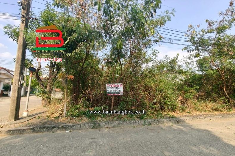 - ที่ดินเปล่า หมู่บ้านปาริชาต 345 (โซน B ซอย 15) เนื้อที่ 81 ตรว. ตำบลบางคูวัด อำเภอเมืองปทุมธานี จังหวัดปทุมธานี