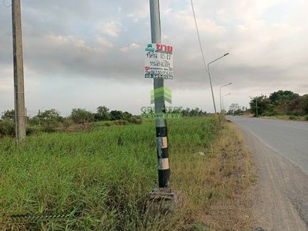 - ขายที่ดิน คลอง8 บึงบอน หนองเสือ ปทุมธานี เนื้อที่ 70 ตร.ว ราคาไม่แพง
