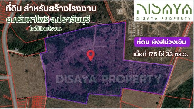 - ที่ดิน ปราจีนบุรี นิคมโรจนะ ผังสีม่วง อ.ศรีมหาโพธิ