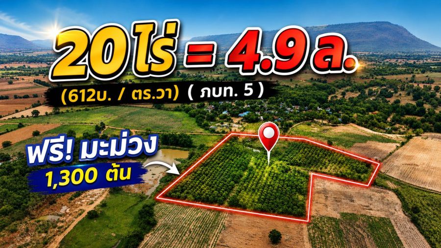 - ขายที่ดินทางเลือก (ภบท5) ราคาจับต้องง่าย. ( 612บ./ ตร.วา ) ( 20 ไร่. : 4.9 ล้าน ) | ซื้อขาย เปลี่ยนชื่อได้ : พื้นที่. ปลอดภัยฯ หายห่วง