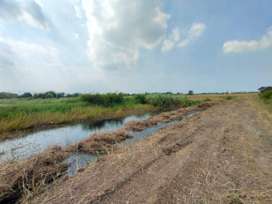 - ขายที่ดินยกแปลง 7 ไร่กว่า ติดถนนใหญ่ อ.เสนา อยุธยา เดินทางสะดวก เพียง 8.5 ล้าน