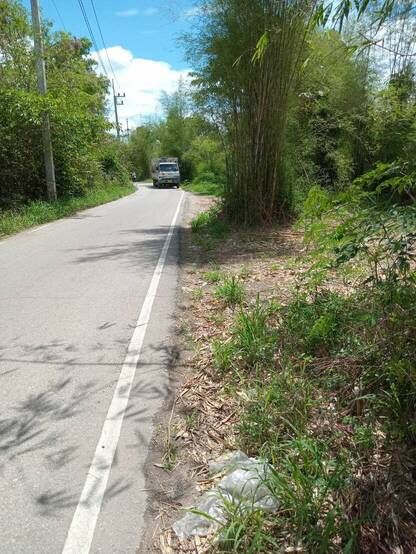 - ขายที่ดินที่ดิน สันป่าตอง ใกล้หนองเสรียม อ.สันป่าตอง จ.เชียงใหม่ ติดถนนลาดยาง 2 ด้าน หน้ากว้าง 55 เมตร ยาว 96 เมตร