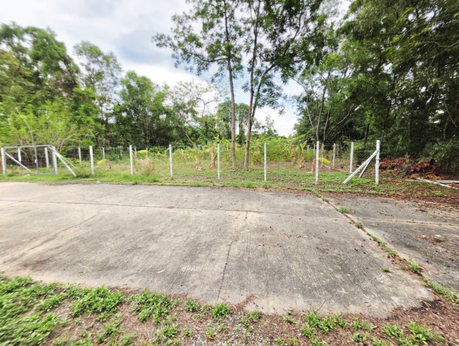 - ขายที่ดิน 155 ตรว. ธัญบุรี รังสิต คลอง3 ปทุมธานี ติดเลค