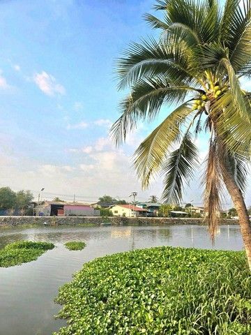 - ให้เช่าบ้านเดี่ยวชั้นเดียว รีโนเวทใหม่ อยู่ตำบลบางปลา อำเภอบางเลน