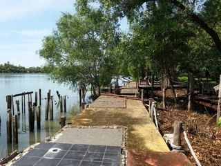 - ขาย ที่ดิน ริมน้ำแม่กลอง 4-3-26.5 ตรว. พร้อมที่งอกริมน้ำมากกว่า 2 ไร่เศษ ตำบลท้ายหาด อำเภอเมือง จังหวัดสมุทรสงคราม