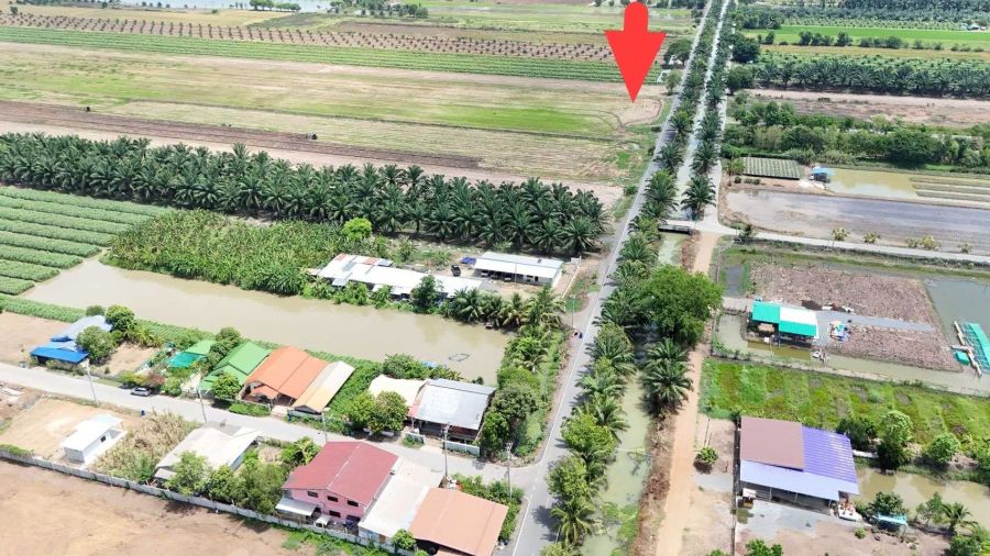 - คลองแอน ทำเลทอง คลอง 7 ติดถนนคลอง ไม่เข้าซอย ลาดยางตลอดเส้น