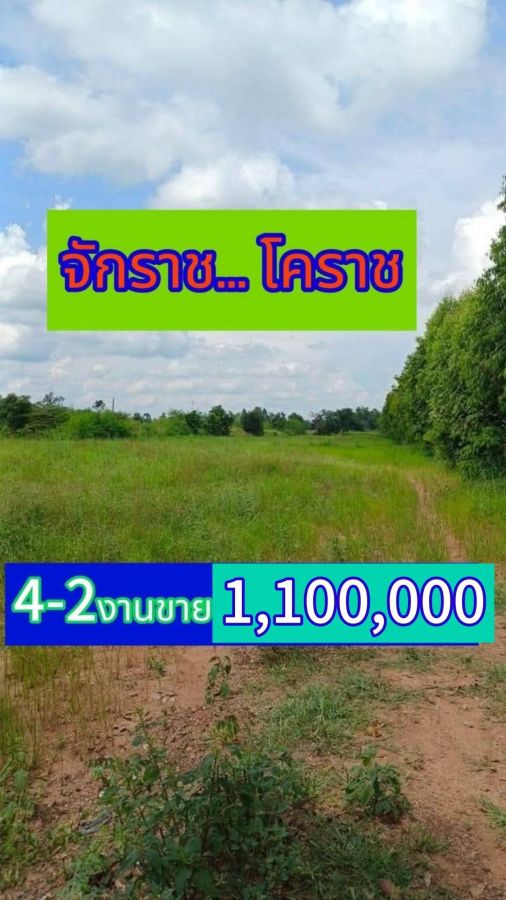 - ขายที่ดินอำเภอจักราชจังหวัดนครราชสีมาอยู่ในเขตเทศบาลสวยปิดถนน