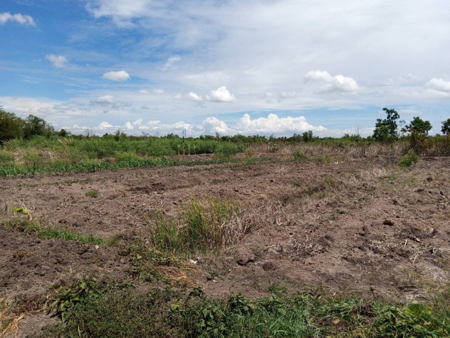 - ขายที่ดิน 2 ไร่ บนถนนสาย บางบัวทอง สุพรรณบุรี อำภเอไทรน้อย นนทบุรี ทางหลวงหมายเลข 340 กม. 25