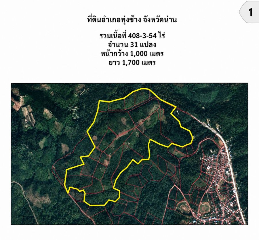 - ที่ดินอำเภอทุ่งช้าง จังหวัดน่าน ป่าสักธรรมชาติพื้นที่ต้นน้าศักยภาพ