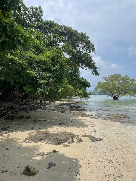- ประกาศขายที่ดินติดหาด เกาะโหลน จังหวัดภูเก็ต ขายยกแปลง เจ้าของขายเอง
