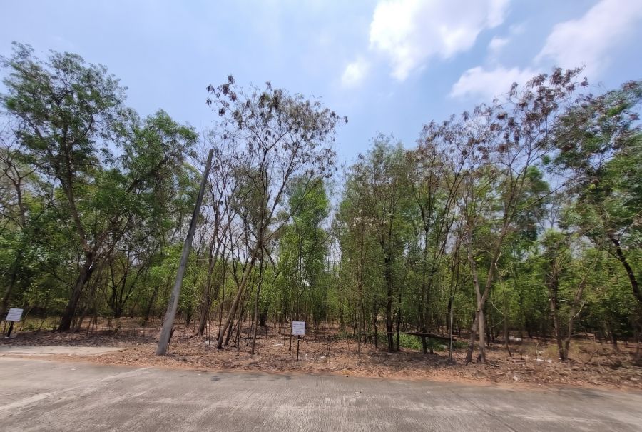 - ขายที่ดิน 3 โฉนดติดกัน | ต.บึงบา อ.หนองเสือ จ.ปทุมธานี บนทำเลจุดเชื่อมต่อที่ดีที่สุดของหนองเสือ!