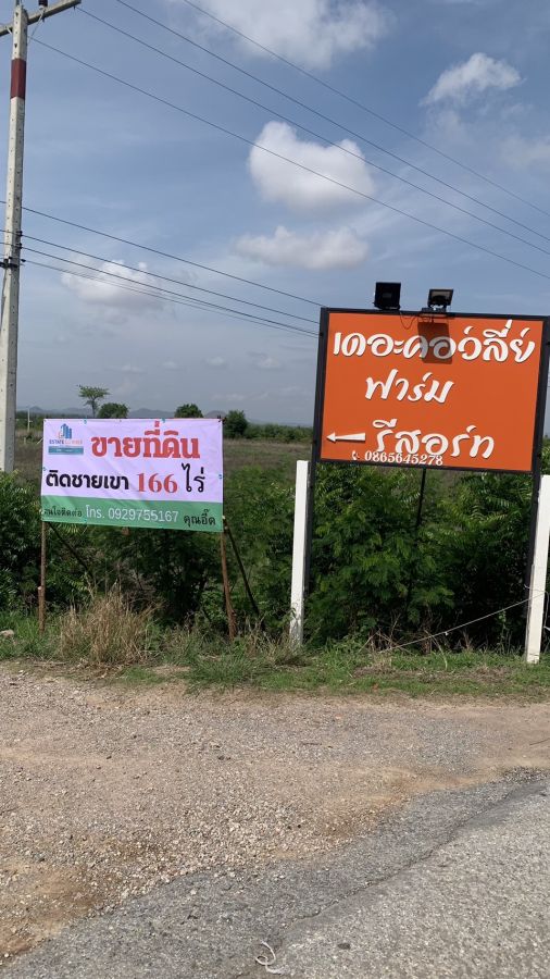 - ขายที่ดินรอบเนินเขา อ.ห้วยกะเจา จ.กาญจนบุรี