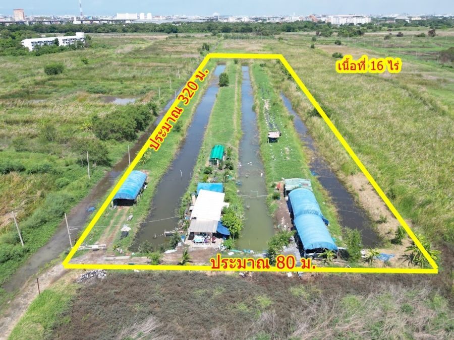 - ด่วน ที่ดินบางนา บางบ่อ 16 ไร่ ทำเลทองใกล้ ABAC บางนา ผังเมืองสีส้ม