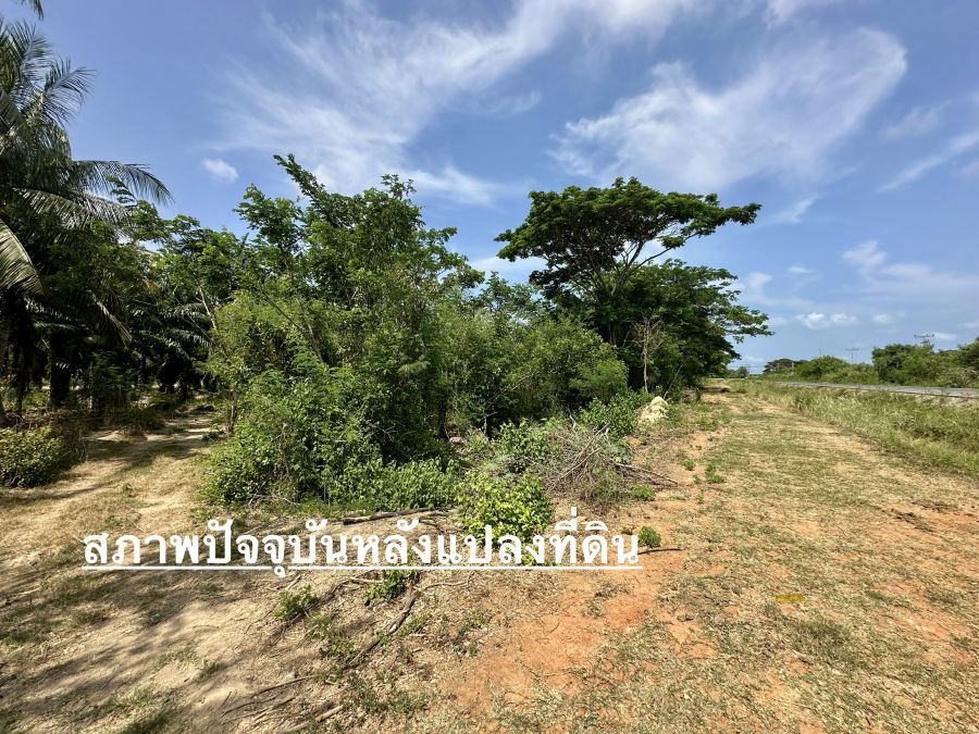 - ขายที่ดินเปล่า เนื้อที่ 8-3-37.5 ไร่ ติดถนนเพชรเกษม ขาขึ้น กทม. ตำบลบ่อนอก อำเภอเมืองประจวบคีรีขันธ์ จังหวัดประจวบคีรีขันธ์