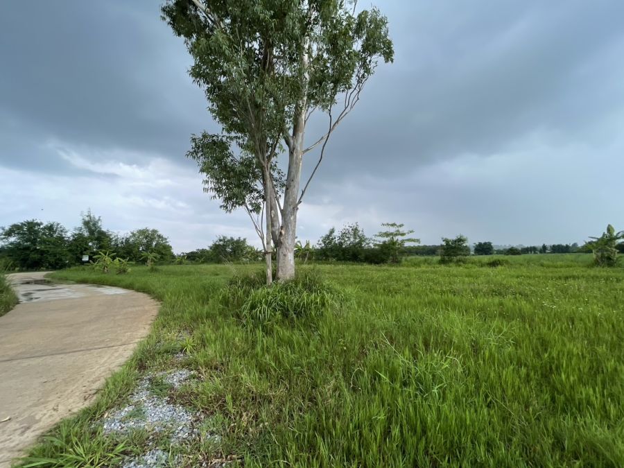- ที่ดินแบ่งแปลง ใกล้เขาใหญ่ โซนคลองม่วง ปากช่อง บรรยากาศธรรมชาติ เงียบสงบ เดินทางสะดวก พื้นที่รวมประมาณ 21 ไร่