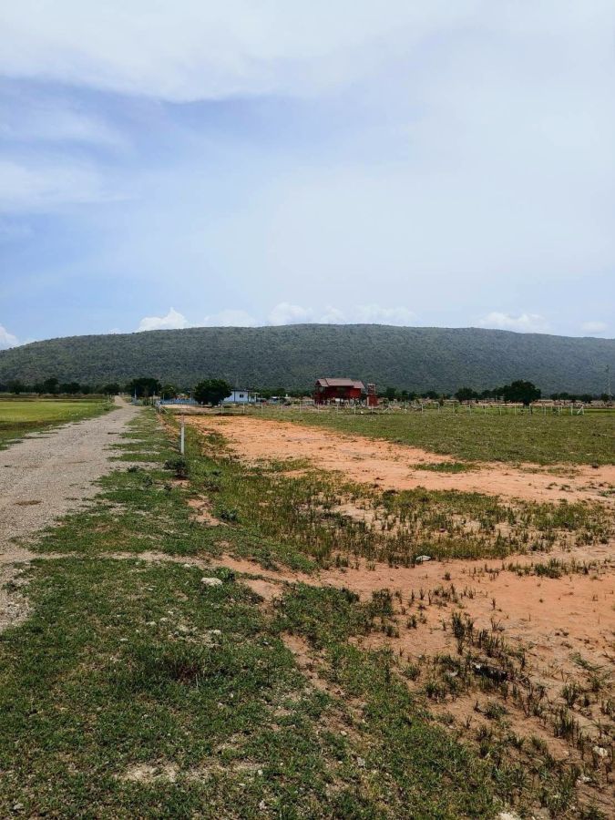 - ที่ดินสวยราคาถูกสุดๆ ต.เพนียด อ.โคกสำโรง จ.ลพบุรี