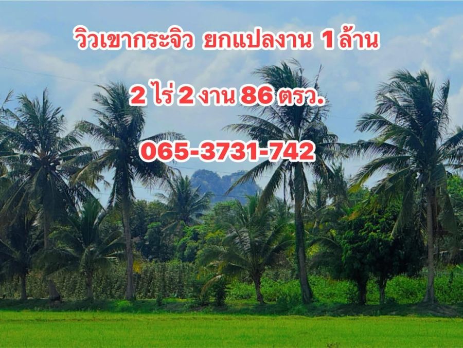 - ที่ดิน ใกล้ตลาดท่ายาง วิวเขากระจิว ท่ายาง เพชรบุรี ยกแปลง 1 ล้านบาท