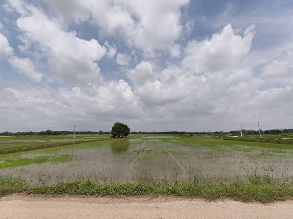 - ขายที่ดิน ที่นา พิษณุโลก อำเภอวังทอง 19 ไร่ สวยมาก วิวนาสวย อากาศดี เงียบสงบ