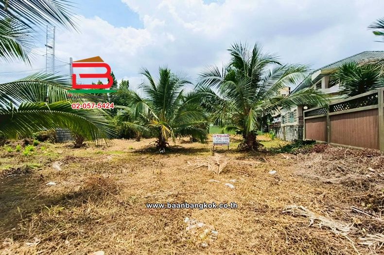 - ที่ดินเปล่า (แปลงหลังริม) เนื้อที่ 156 ตร.ว. หมู่บ้านเฉลิมพระเกียรติ (ตรงข้ามซอยเฉลิมพระเกียรติซอย 4) ตำบลบางศรีเมือง อำเภอเมืองนนทบุรี นนทบุรี