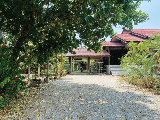- บ้านพร้อมที่ดิน ติดถนนหลัก ราคาถูกมาก เดินทางสะดวก เนื้อที่ 1 ไร่ 130 ตรว ต.ม่วงน้อย อ.ป่าซาง จ.ลำพูน