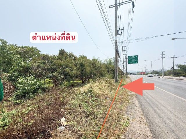 - ที่ดินสวนลำไย ติดถนนใหญ่และแม่น้ำทา เดินทางสะดวก เนื้อที่ 3 ไร่ 262.1 ตรว ต.ม่วงน้อย อ.ป่าซาง จ.ลำพูน