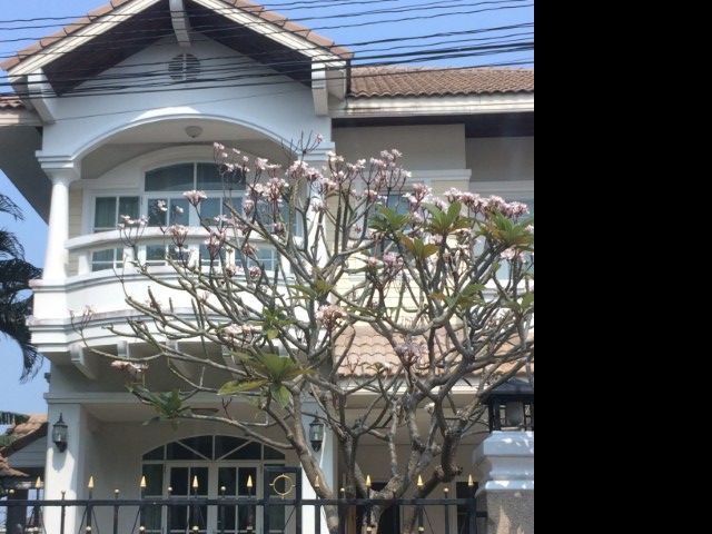 - ให้เช่าบ้านเดี่ยวหมู่บ้านภัทรา70 ตร.ว ถนนรามคำแหง 76 มี4 นอน3น้ำ 1 แม่บ้าน ตกแต่งสวย เฟอร์ครบ สวนรอบบ้าน เช่า 45000 บาท/เดือน ถ.รามคำแหง76