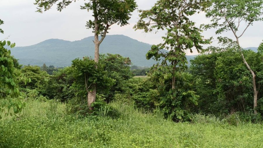 - ขายที่วังไทร เขาใหญ่ ที่บนเนิน 3.5ไร่ ใกล้ My ozone Movenpick khaoyai ถนนกว้างไฟฟ้าผ่านหน้าที่ วิวเขาสวยมาก หลังพิงเขา แถมที่ครอบครอง12ไร่ ปากช่อง