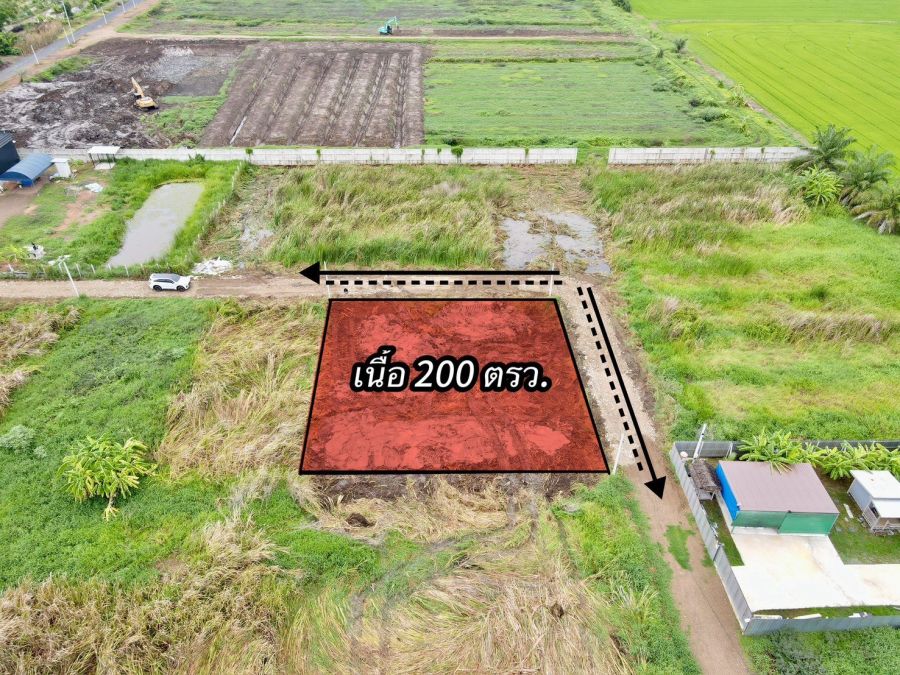 - ที่ดินแปลงเล็ก เหมาะทำบ้านพักตำบล บึงบา อำเภอ หนองเสือ ปทุมธานี