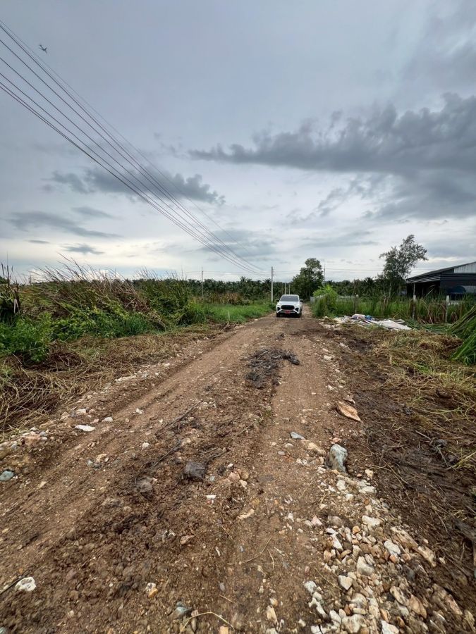 - ที่ดิน เหมาะทำบ้านพัก ซ.พนารัตน์คลอง 9 อ.หนองเสือ จ.ปทุม โฉนดครุฆแดง
