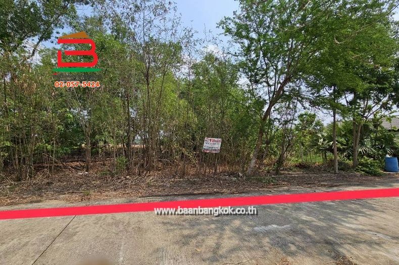 - ที่ดินเปล่า เนื้อที่ 200 ตรว. ซอยทางเข้า The Log Cafe ข้าวซอยเชียงใหม่ ถนนทางหลวงชนบทสาย ปท.4001 ตำบลบึงบอน อำเภอหนองเสือ จังหวัดปทุมธานี