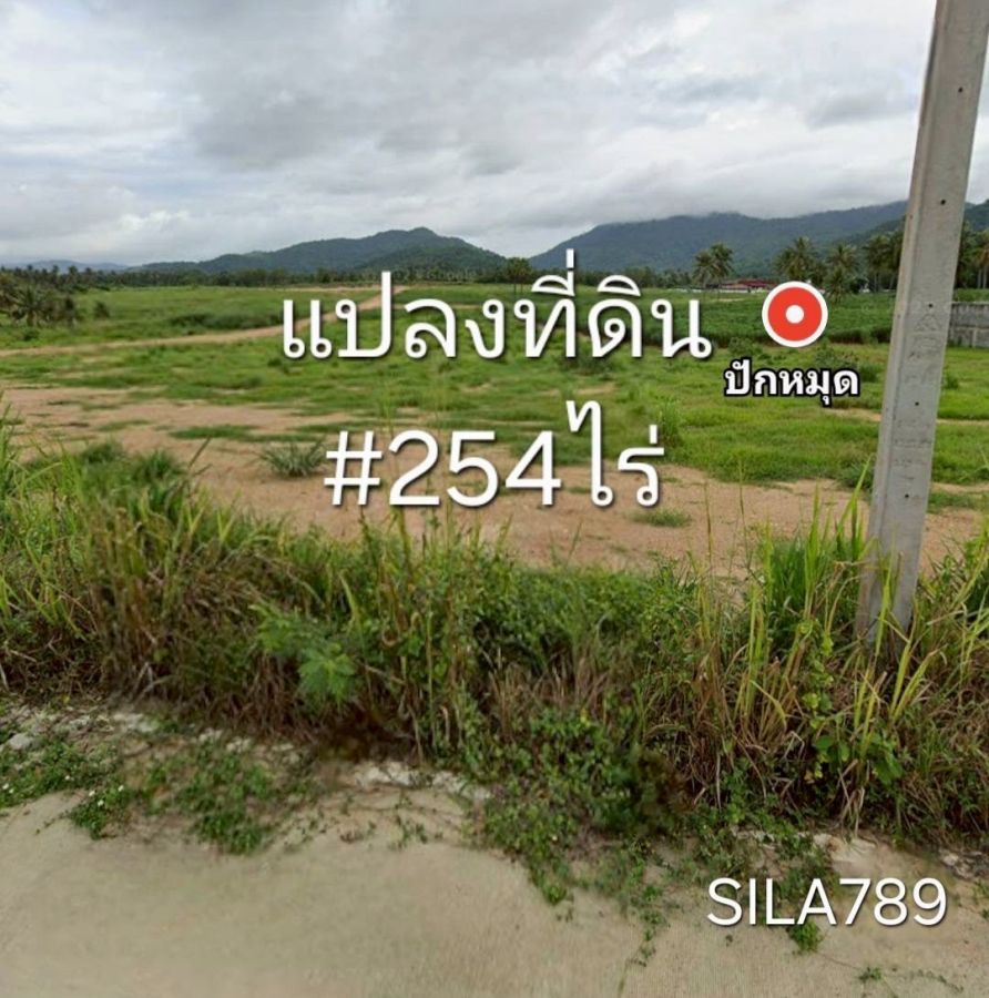 - ขายที่ดิน ต.เขาคันทรง อ.ศรีราชา จังหวัดชลบุรี