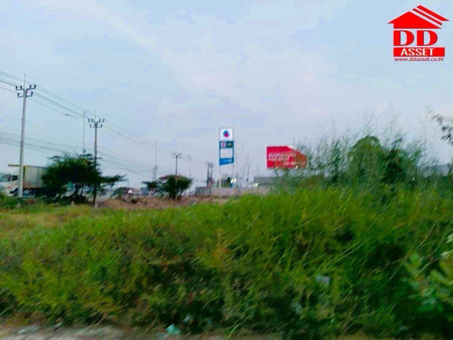 - ขายที่ดินเปล่า ติดถนนเลียบคลองส่งน้ำสุวรรณภูมิ แปลงมุม ทำเลสวย