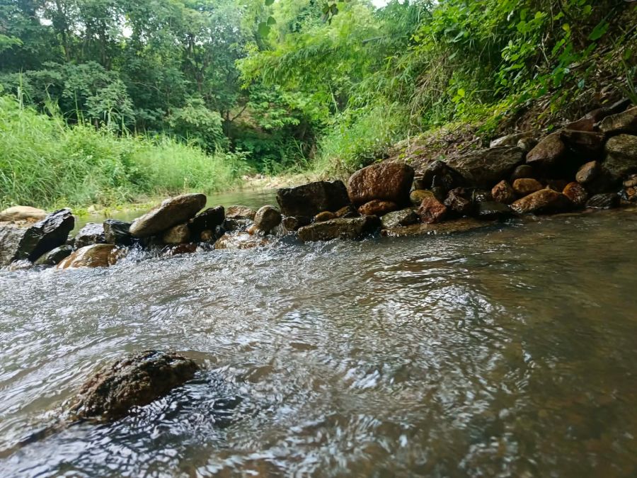 - ขายที่ดินติดลำธารน้ำติดถนนคอนกรีตโฉนดพร้อมโอน