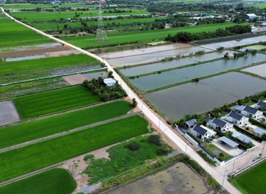 - ที่ดินขุนศรี-ไทรน้อย เหมาะสร้างบ้าน ซื้อเก็บลงทุนเก็งกำไร