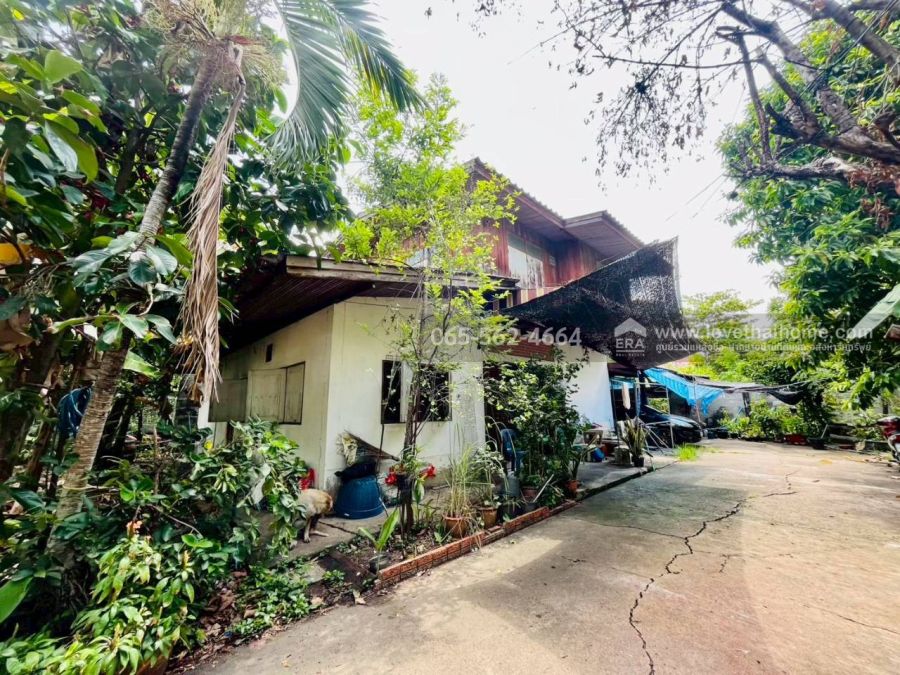 - ขายที่ดินแถมบ้าน เพชรเกษม 64 โครงการเรืองอนันต์ ภาษีเจริญ 173 ตรว. หลังบ้านติดคลองธรรมชาติ