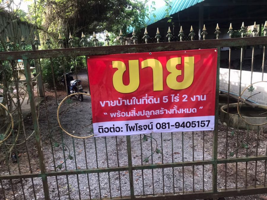 - ขายที่ดินพร้อมบ้าน 5.5 ไร่ หมู่8 ตำบลสองสลึง อำเภอแกลง ระยอง ห่างจากถนนสุขุมวิท เพียง 100 เมตร
